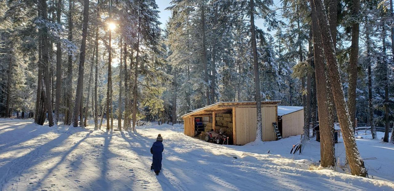 Kicking Horse Canyon Guest House Golden Exterior photo